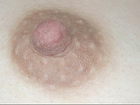 300人の乳首 3　サンプル画像08